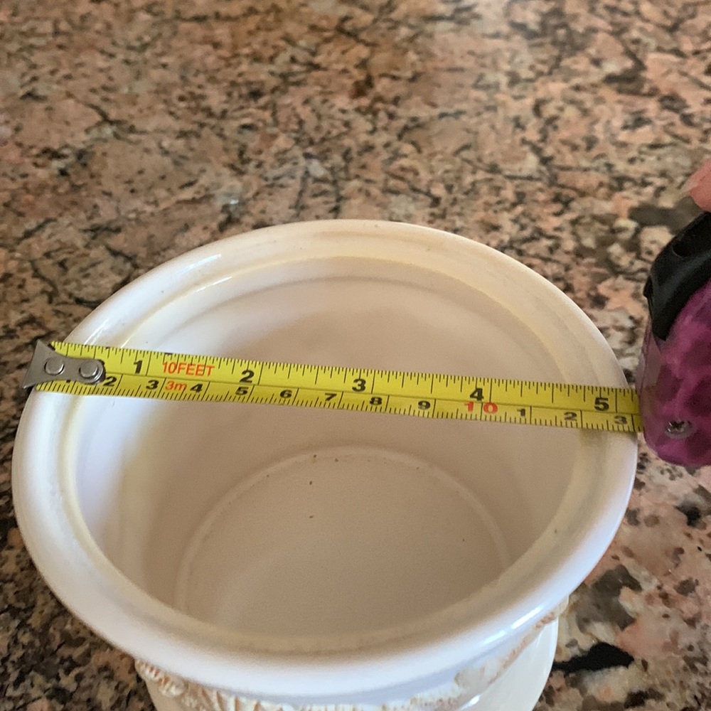 Shell dish with lid - Picture 5 of 5